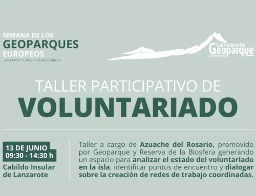 Taller participativo de voluntariado